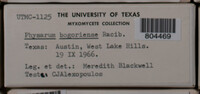 Image Associated With the Occurence